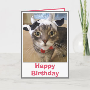 Carte Amusante Chat Vache Blague Anniversaire