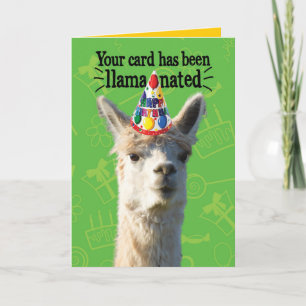 Carte Amusante Llama Avec Casquette De Fête - Anniversai