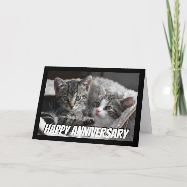 Carte Amusants Coeur au coeur Couple Anniversaire Chat A (Devant)