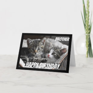 Carte Amusants Coeur au Coeur Frère Anniversaire Chat An