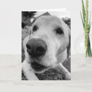 Carte amusez-vous et approchez-vous du vieux labo jaune 