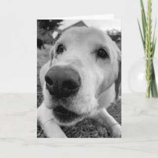 Carte amusez-vous et approchez-vous du vieux labo jaune 