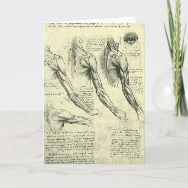 Carte Anatomie du bras et de l'épaule de Léonard de Vinc (Devant)