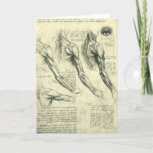 Carte Anatomie du bras et de l'épaule de Léonard de Vinc