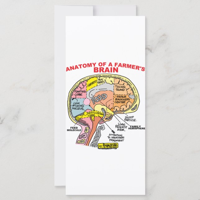 CARTE ANATOMIE DU CERVEAU D'UN AGRICULTEUR (Devant)
