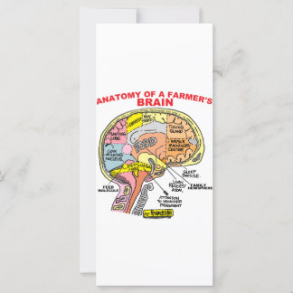 CARTE ANATOMIE DU CERVEAU D'UN AGRICULTEUR