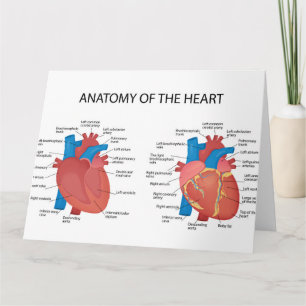 Carte Anatomie du coeur