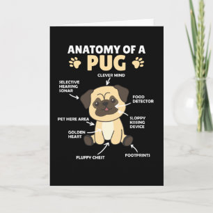 Carte Anatomie D'Un Carlin Chiens Doux Chiens Drôle Chio