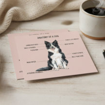 Anatomie d'un chien