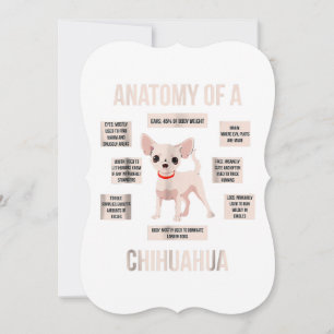 Carte anatomie d'un chihuahua  cadeau drôle de chiot