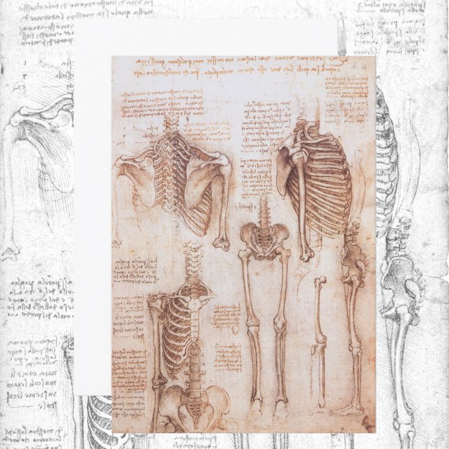 Carte Anatomie humaine Squelette os par Leonardo da Vinc (Créateur téléchargé)