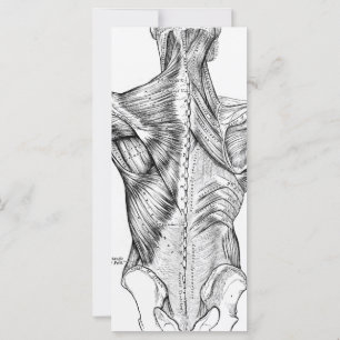 Carte Anatomie noire et blanche Muscles de dos d'art (18