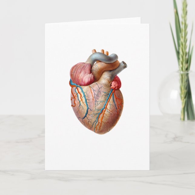 Carte anatomique de jour de Valentines de coeur (Devant)