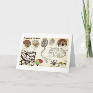 Carte Anatomy of the Human Brain