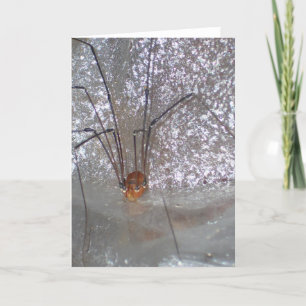 Carte Ancêtre Longlegs