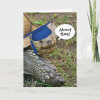 Ancien diplômé de Tortoise avec Casquette bleu