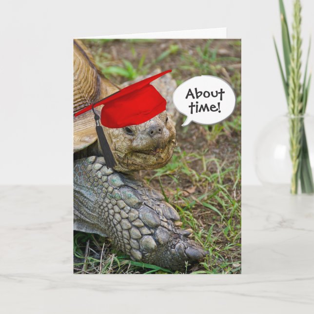 Carte Ancien diplômé en tortue avec Casquette rouge (Devant)