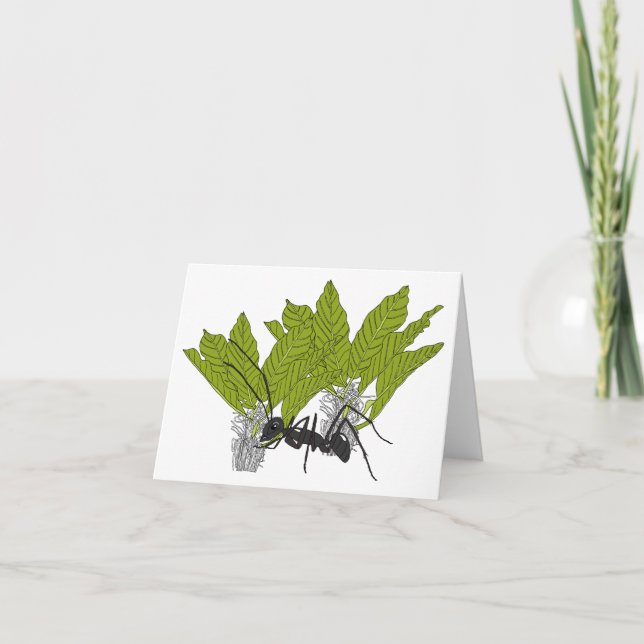 Carte Andrew the ant (Devant)