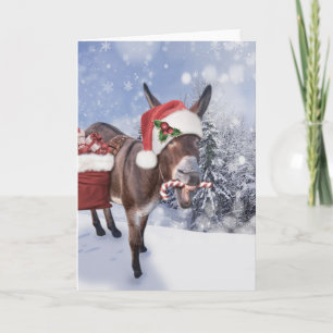 Carte âne de Noël avec un chapeau rouge drôle