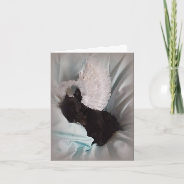 Carte Ange dans les ailes (Devant)