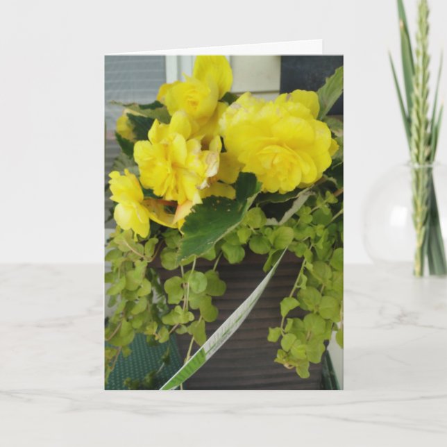 Carte Angel Jaune Aile Begonias, Penser À Vous (Devant)