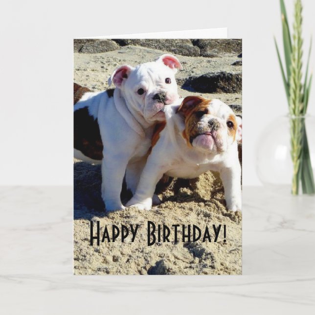 Carte Anglais Bulldogs chiot amour Anniversaire (Devant)