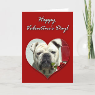 Carte anglaise de jour de Valentines de bouledogue