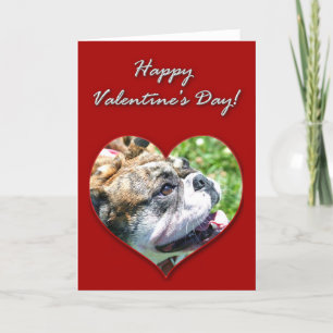 Carte anglaise de jour de Valentines de bouledogue