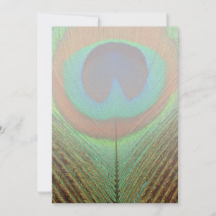 Carte Animal - Oiseau - Plumes de paon