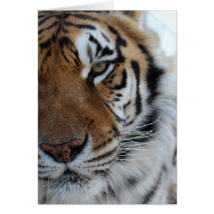 Carte animale de sanctuaire de Cedarhill