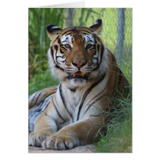 Carte animale de sanctuaire de Cedarhill