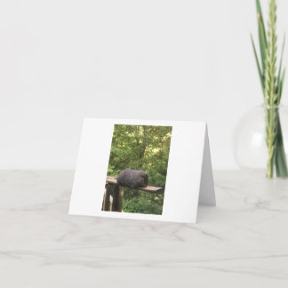 Carte animale mignonne pour quelqu'un que vous