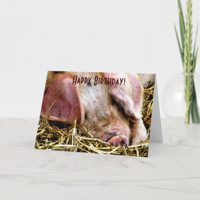 CARTE ANIMAUX AGRICOLES, PIGS (Devant)