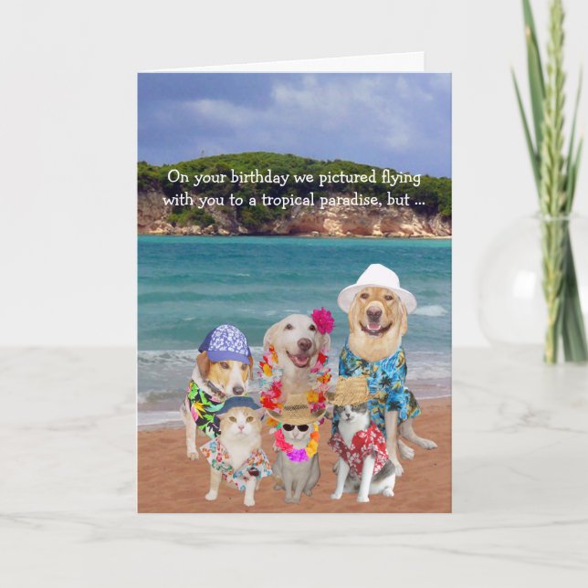 Carte Animaux amusants Paradis tropical Anniversaire (Devant)