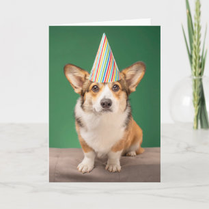 Carte Animaux Bébés les Plus Mignons   Chiot d'anniversa