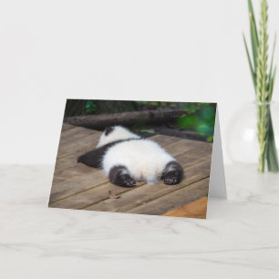Carte Animaux de bébés cutest Bébé Géant Panda Dormir
