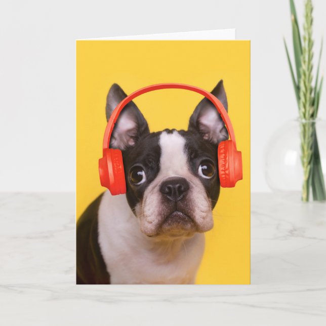 Carte Animaux de bébés cutest | Casques Terrier de Bosto (Devant)