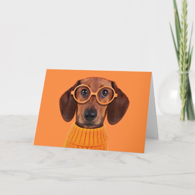 Carte Animaux de bébés cutest | Chandail orange Dachshun (Devant)