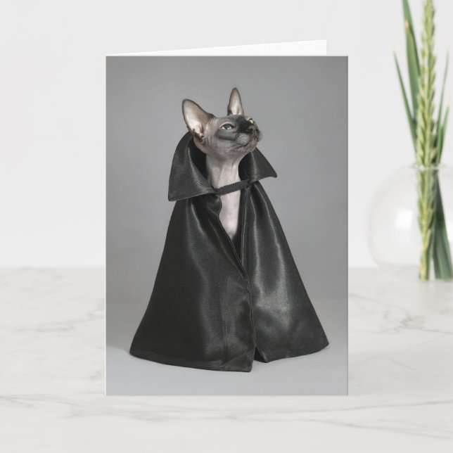 Carte Animaux de bébés cutest | Chat sans poil Sphynx (Devant)