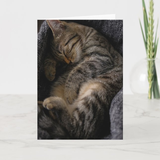 Carte Animaux de bébés cutest | Chat Tabby Dormant (Devant)