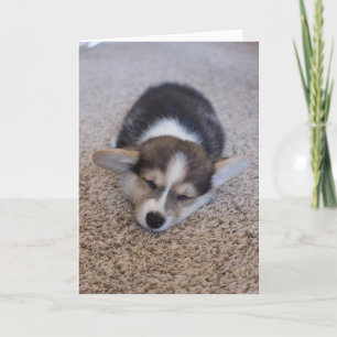 Carte Animaux de bébés cutest   Corgi Chiot sur Shag Rug