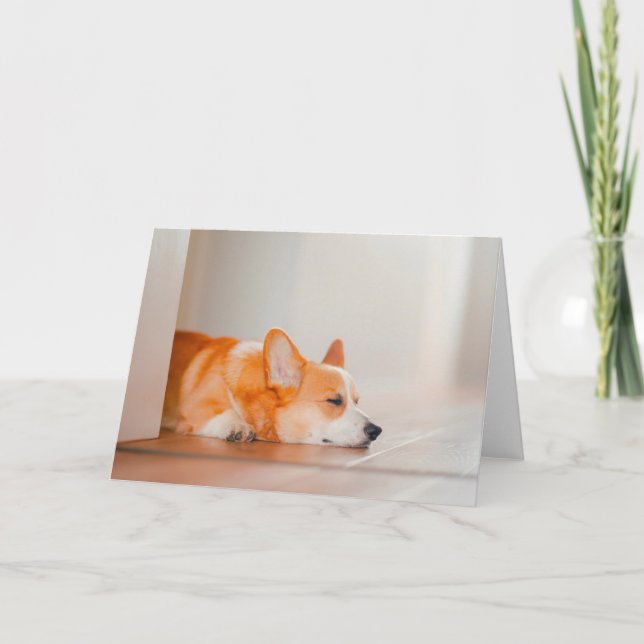 Carte Animaux de bébés cutest | Corgi Sleeping (Devant)