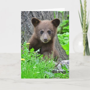 Carte Animaux de bébés cutest Cube d'ours Brown