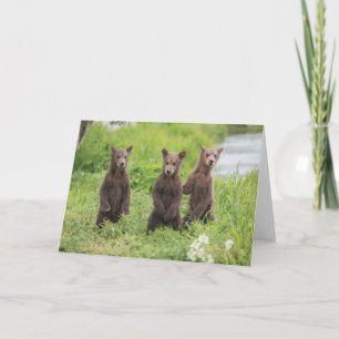 Carte Animaux de bébés cutest   Cubes d'ours Brown Kamch
