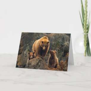 Carte Animaux de bébés cutest   Famille d'ours Brown