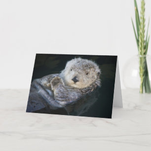 Carte Animaux de bébés cutest Flottant de Loutres de m