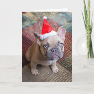 Carte Animaux de bébés cutest French Bulldog Christmas