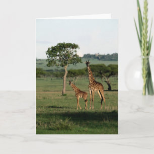 Carte Animaux de bébés cutest Giraffe Calf & Mama