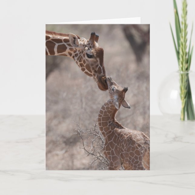 Carte Animaux de bébés cutest | Giraffe mère et bébé (Devant)
