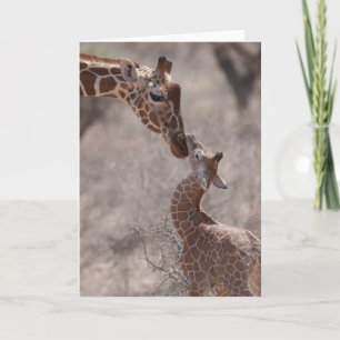 Carte Animaux de bébés cutest   Giraffe mère et bébé